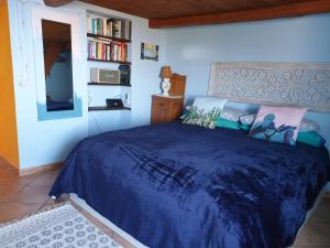 リーパリにあるAnoeta Casetta Eoliana Lipari,pool,saunaのベッドルーム(青いベッド1台、本棚付)