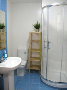 a bathroom with a shower and a sink and a toilet at Apartamento Punta Gábalo in Broto