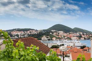 a view of a city with buildings and a mountain at Apartment Meet & Greet in Dubrovnik