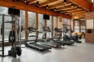 Fitness centrum a/nebo fitness zařízení v ubytování Valhalla Hotel & Conference Centre