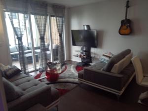 a living room with two couches and a flat screen tv at Bel appartement T2 près du lac avc un parking privé in Bordeaux