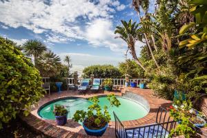 a swimming pool with plants and a patio at A Heavenly View in Muizenberg