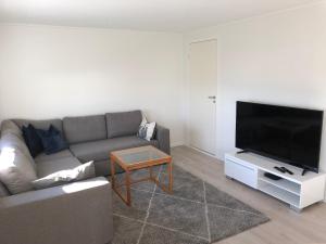 Posezení v ubytování Cozy Apartment in the middle of Lofoten