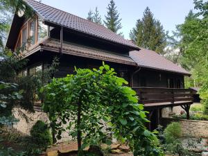 a wooden house with a tree in front of it at OSTOJA BONDYRZ in AdamÃ³w