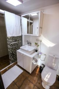 uma casa de banho com um WC, um lavatório e um chuveiro em BUKHRIANI em Kutaisi