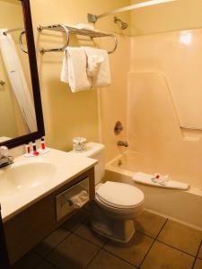 een badkamer met een toilet, een wastafel en een douche bij Super 8 by Wyndham Lewiston in Lewiston