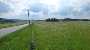 Przyroda w pobliżu tego apartamentu