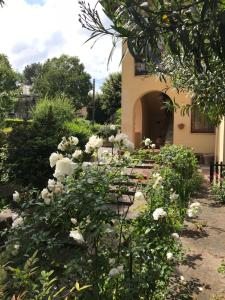 a garden with white roses in front of a building at La Casa di Claudia in Florence