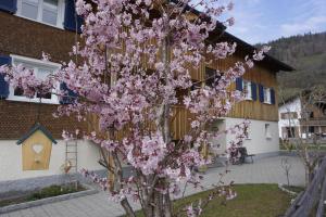 Fotografia z galérie ubytovania Apartement Metzler Susanne v destinácii Bezau