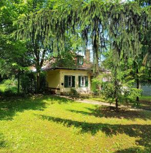 a small yellow house with a tree in front of it at Muskátli Üdülőház in Parádfürdő-Peres