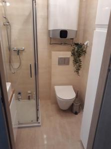 a small bathroom with a toilet and a shower at Apartament dla Ciebie in Sztutowo