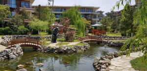 Fotografie z fotogalerie ubytování Ana's Apartment in Chakvi Oasis v destinaci Chakvi