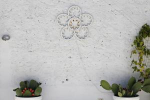 Fotografie z fotogalerie ubytování La Mitria v destinaci Trani