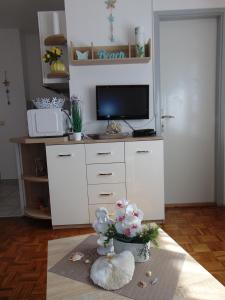 TV a/nebo společenská místnost v ubytování Apartments Marija