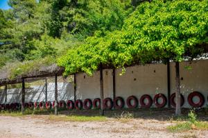 A garden outside ILIOCHARI sea view apartments Oropos - Kalamos