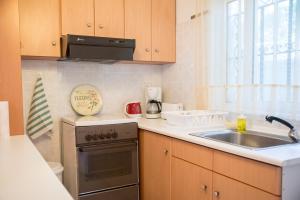 A kitchen or kitchenette at ILIOCHARI sea view apartments Oropos - Kalamos