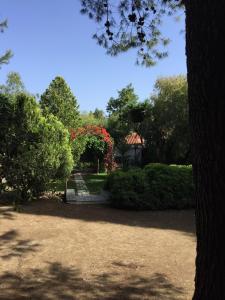 A garden outside Alykes Park Bungalows