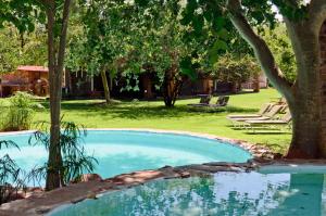 een zwembad in een tuin met een boom bij Waterberg Wilderness - ONE Namibia in Waterberg