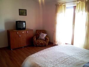TV a/nebo společenská místnost v ubytování Apartments and Rooms Suzana