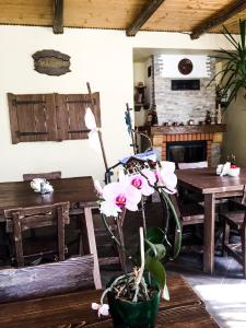 コシフにあるVilla Diolaの部屋のテーブルの鉢植え