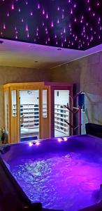 - une grande baignoire violette dans une chambre éclairée dans l'établissement Gites Spa Strasbourg - La Villa 11, à Ittenheim