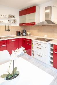 eine rote Küche mit weißen und roten Schränken in der Unterkunft Ferienwohnungen am "Spiel-emagazin" in Halberstadt