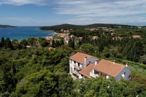 an aerial view of a house on a hill next to the water at Apartments Mrva in Ugljan