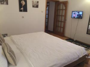 コンスタンツァにあるCasa Juliusのテレビ付きの客室の白いベッド1台