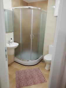 a bathroom with a shower and a toilet and a sink at Apartment Tijana in Banja Koviljača +22 photos