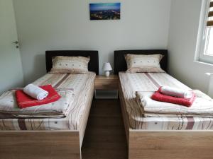 two beds in a bedroom with red pillows on them at Apartment Tijana in Banja Koviljača