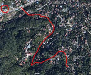 a map of a road with a red line at Tree House in Sofia