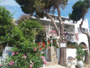 Gallery image of Villa Arni Andros - Βίλα ΑΡΝΗ in Batsi