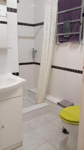 Un baño blanco con ducha y WC. en Studio Apartment between Nice and Cannes - Marina baie des Anges - Beach, restaurants, shops - tea/coffee/sugar/bed linen and towels, en Villeneuve-Loubet 19 fotos más
