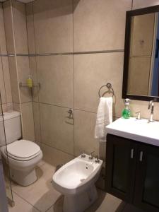 a bathroom with a toilet and a sink at Apartamento Benegas in Mendoza +14 photos