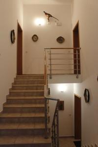 Fotografia z galérie ubytovania Apartmani Željko v Metajni