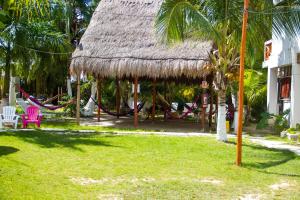 Fotografie z fotogalerie ubytování Golden Paradise Hostel v destinaci Ostrov Holbox