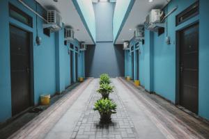twee planten in een hal met blauwe muren bij RedDoorz near RSUD Koja in Jakarta