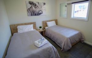 莫斯谷Argyle Hotel Southern Highlands的有两张床和一扇窗户的房间