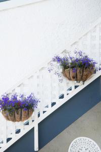 two potted purple flowers on a white shelf at Waimarie on Riverside Motel & Apartments in Nelson