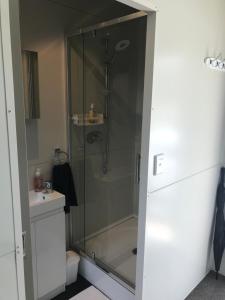 ein Bad mit einer Dusche, einem WC und einem Waschbecken in der Unterkunft WanaHaka - Lake Wanaka & Town at your door in Wanaka