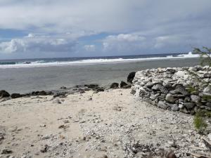 Titikawekaにある2rangi Beach Homestay at Mirimiri Spaの海辺の岩山