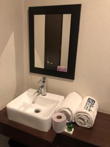 Koupelna v ubytování Hotel Raga Inn