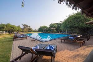 Bazén v ubytování Camellia Resort and Spa nebo v jeho okolí