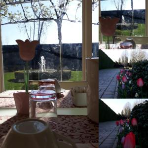 A garden outside La Casa di Linda