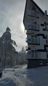 Apartman SREBRNA PAHULJA durante el invierno