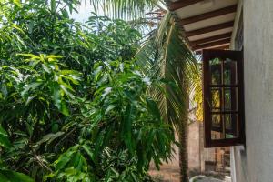 een boom met een raam voor een gebouw bij Mango Shade Weligama in Weligama +23 foto's