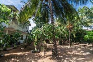 a group of palm trees in front of a building at Mango Shade Weligama in Weligama