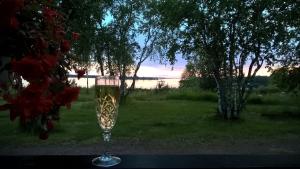 a glass of wine sitting on a table in a yard at Kumlinge Stugor in Kumlinge