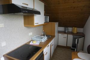uma pequena cozinha com um lavatório e um fogão em Pension-Ferienwohnung Rotar em Faak am See