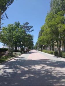 イェウパトーリヤにあるGuest House Otdykhaem Letomの道路両側の木々が並ぶ空き道